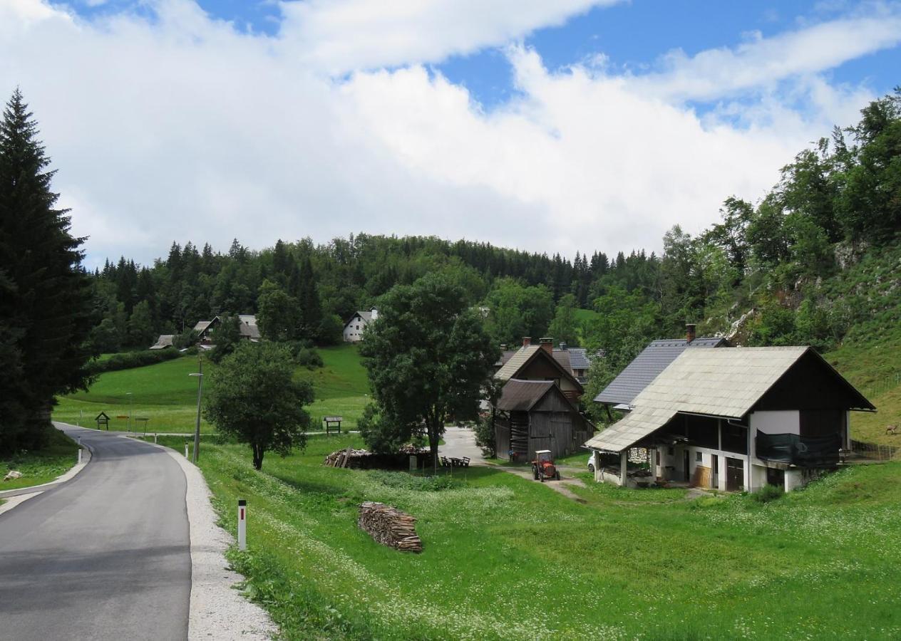 Tourist Farm Pr' Maretc Appartement Bohinjska Bistrica Buitenkant foto