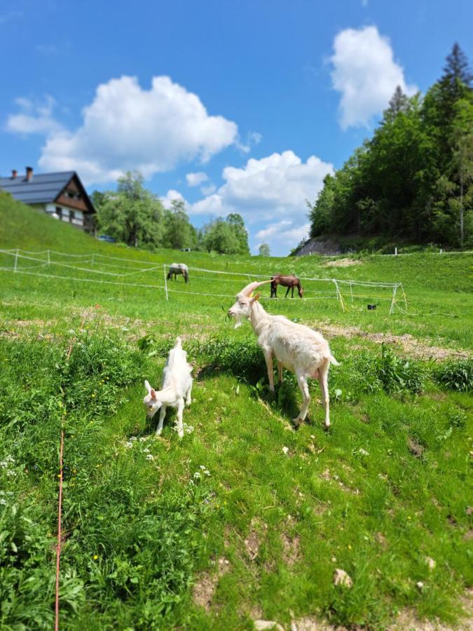 Tourist Farm Pr' Maretc Appartement Bohinjska Bistrica Buitenkant foto